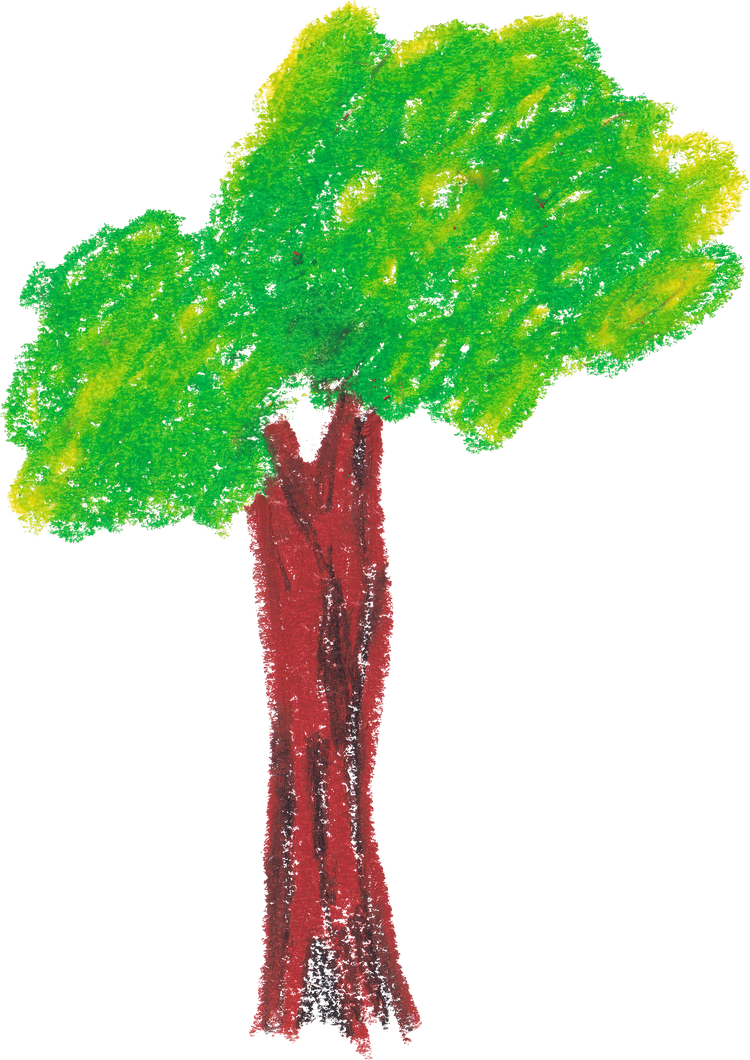 Tree oil pastel